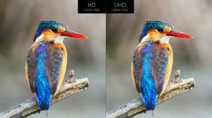 4K UHD DIFFERENCE 800x445 1